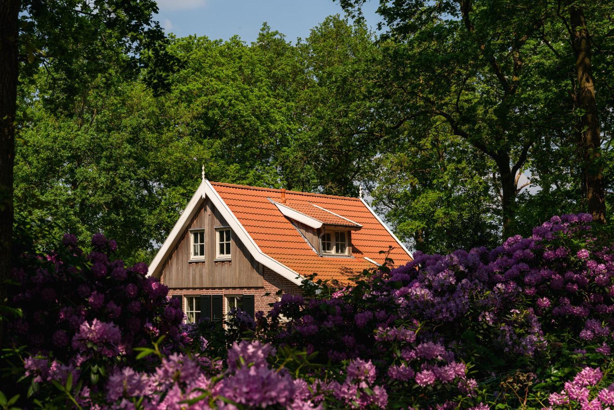 De Bosuil Villa Hoge-Hexel ภายนอก รูปภาพ